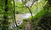 Trail Walking Florenville - Le Point de vue la Bohanan - Chassepierre - Photo 4