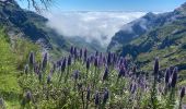 Tocht Stappen Curral das Freiras - Pico do Areeiro - Photo 2