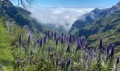 Trail Walking Nuns Valley - Pico do Areeiro - Photo 2