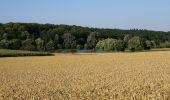 Tocht Te voet Vaihingen an der Enz - VE6 Bartenberg-Rundweg - Photo 2