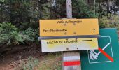 Trail Walking Saint-Lary-Soulan - Col d'ourdissetou boucle eco  - Photo 2