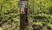 Trail Walking Froidchapelle - La balade du bois du Grand Oupia aux lacs de l'eau d'heure - Photo 7