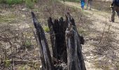 Trail Walking Vauvenargues - Vimont.helene - Photo 5