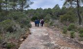 Trail Walking Puget-sur-Argens - La Lieutenante (D.R ) - Photo 2