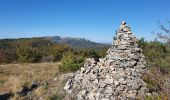 Trail Walking Mazaugues - le Mourre d'Agnis au départ du Caucadis - Photo 9