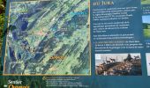 Trail Walking Septmoncel les Molunes - septmoncel - Photo 2