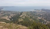 Trail Walking Cavalaire-sur-Mer - LES TERRASSES DE CAVALAIRE - MONTJEAN ET LES PRADELS - Photo 6