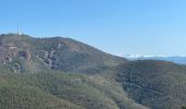 Trail Walking Saint-Raphaël - Cap Roux et grues depuis Belle-Barbe - Photo 7