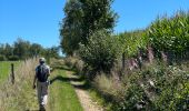 Excursión Senderismo Marche-en-Famenne - Verdenne petite variante - Photo 10