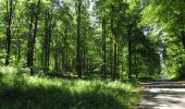 Randonnée Marche Choisy-au-Bac - en forêt de Laigue_7_06_2020_sur les routes de la Fontaine à Baril_Belle Assise_Plessis-Brion_chemin de Voie d'Eau - Photo 20