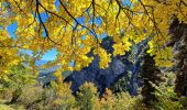 Tocht Stappen La Fare-en-Champsaur - Le Girolet Via La Fare-en-Champsaur - Photo 5