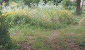 Trail Walking Val-de-Vie - Ste  Foy de Montgommery - Photo 4