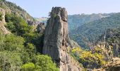 Randonnée Marche Chauchailles - les Gorges du Bes - Photo 4