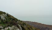 Excursión Senderismo Champeaux - les falaises de Carolles - Champeaux - Photo 16