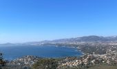 Trail Walking Le Pradet - Fort bayarde - Photo 1