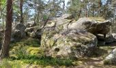 Randonnée Marche Fontainebleau - Forêt de Fontainebleau (Achères)  240414 - Photo 2