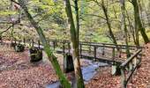 Excursión A pie Houffalize - La promenade autour du Lac de Nisramont - Photo 16