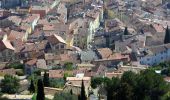 Percorso Marcia La Crau - Fenouillet - Chateau de Hyères - retour par les vignes - Photo 14