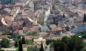 Tour Wandern La Crau - Fenouillet - Chateau de Hyères - retour par les vignes - Photo 14