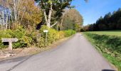 Excursión Bici eléctrica Vieux-Moulin - Vieux-Moulin- Saales- Ban de Sapt - Vieux Moulin - Photo 16