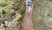 Tour Wandern Angomont - Le champ de bataille de la Chapelotte - Photo 18