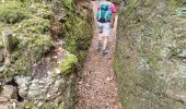 Randonnée Marche Angomont - Le champ de bataille de la Chapelotte - Photo 18