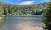 Tocht Elektrische fiets Wildenstein - La Bresse - Photo 1