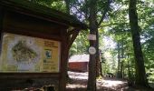 Trail Walking Sentheim - Baerenkopf  - Photo 8