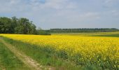 Tocht Stappen Orry-la-Ville - Le tour du grand paris via le GR1  Etape 8 Coye - Dammartin - Photo 6