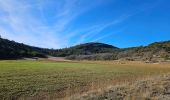 Tour Wandern Signes - Montée vers le plateau de la Limatte en partant de Signes  - Photo 17