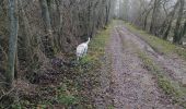 Tocht Stappen La Chapelle-de-Guinchay - balade - Photo 2