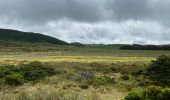 Tour Wandern Fajã Grande - Le tour des lacs de cratère à Flores - Photo 5