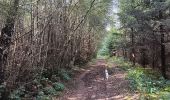 Tocht Stappen Ferrières - xhoris adeps 15km 2024  - Photo 8