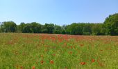 Randonnée Marche Villers-le-Bouillet - Vieux-Waleffe . Dreye . Pitet . Fallais . Vieux-Waleffe - Photo 17