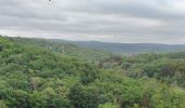 Tour Wandern Durbuy - GR57 : BOMAL to MELREUX - Photo 16