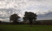 Randonnée Marche Sprimont - banneux . adzeux . grand pierreux . banneux / marche adeps 10 km  - Photo 10