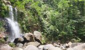 Trail Walking Sainte-Rose - Saut des Trois Cornes, en boucle depuis les sources de Sofaia - Photo 1