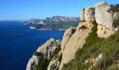 Excursión Senderismo Cassis - Pas de la Colle - Falaises Soubeyranes - Sémaphore du Bec de l'Aigle - Anse de Figuerolles - Parc Mugel - La Ciotat - Photo 14