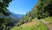 Trail Walking Saint-Gervais-les-Bains - J15 - R14 - Bellevue - Col de Voza - Bionnassay - Le Planet - L'Are - Photo 6