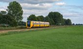 Tour Zu Fuß Kampen - WNW IJsseldelta - 's-Heerenbroek/Wilsum - gele route - Photo 4