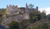 Randonnée Marche Anhée - Haut-le-Wastia - Salet - Foy - Montaigle - Photo 8