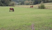 Tour Wandern Érezée - oppagne ac 2 - Photo 3