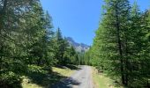 Randonnée Marche Ceillac - Ceillac, lac de Clausis - Photo 11