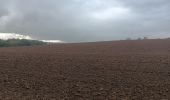 Tocht Stappen Amay - marche adeps jehay 10km 2024 - Photo 11