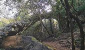Trail Walking Belgentier - Barres de Belgentier - Photo 3