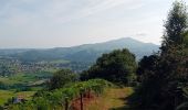 Tour Wandern Itxassou - Itxassou (pas de Roland) - Photo 8