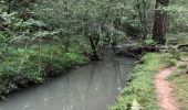 Excursión Senderismo Hasparren - Haitzader boucle courte - Photo 13