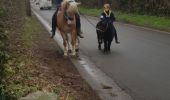 Tocht Stappen Nandrin - Parcours 5 km - Photo 7