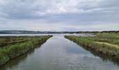 Tour Mountainbike Port-la-Nouvelle - Boucle de Bages d Aude  - Photo 3