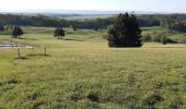 Tour Wandern Havelange - gros-chêne Chêne barvaux cdz - Photo 1